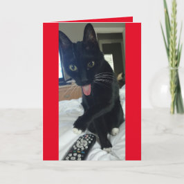 Katt tar fjärr för Valentines day lustigt Helgkort