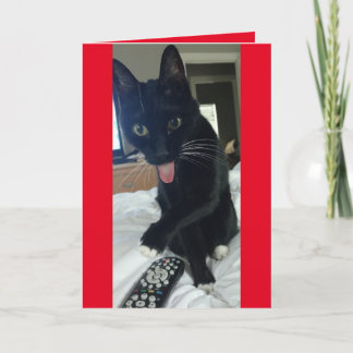 Katt tar fjärr för Valentines day lustigt Helgkort