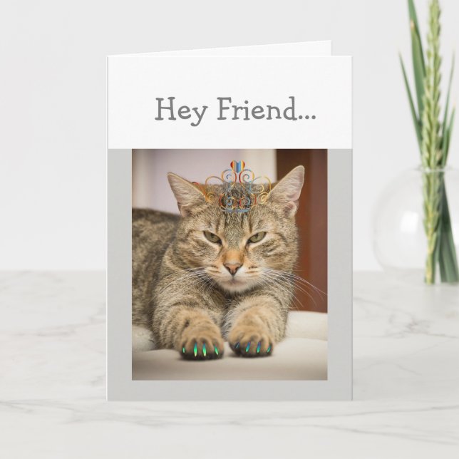 Katt Tittar Bra Friend Birthday Roligt Animal Kort (Framsida)