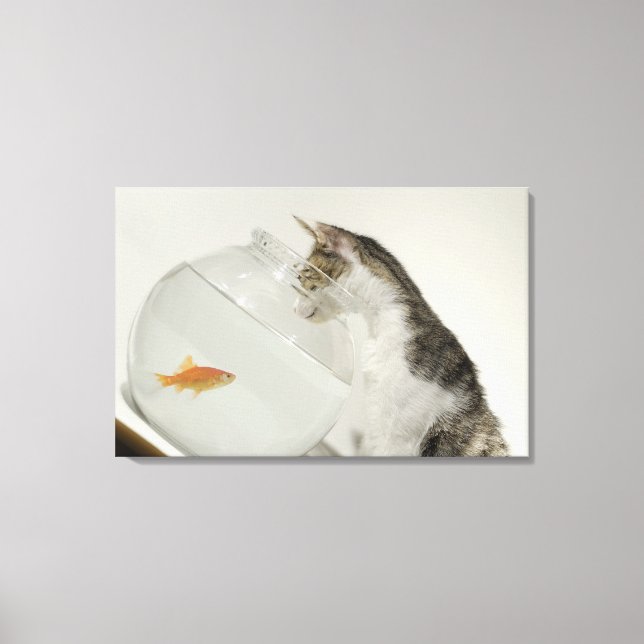 Katt tittar fisk i fiskskål canvastryck (Framsida)