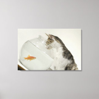 Katt tittar fisk i fiskskål canvastryck