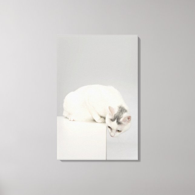 Katt tittar över kant canvastryck (Framsida)
