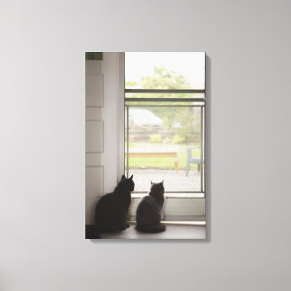 Katt tittar ut skärm canvastryck