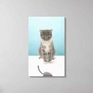 Katt tittar vid leksak-musen på matta canvastryck