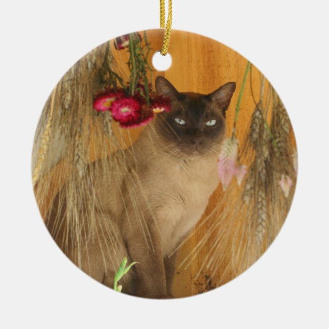 Katt, torkade, siamesisk blommor, Ornament (Framsidan)