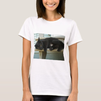 Katt Tröja