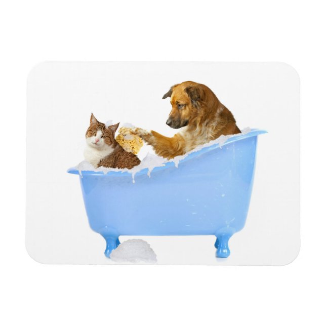 Katt Tvättar Magnet (Horisontell)