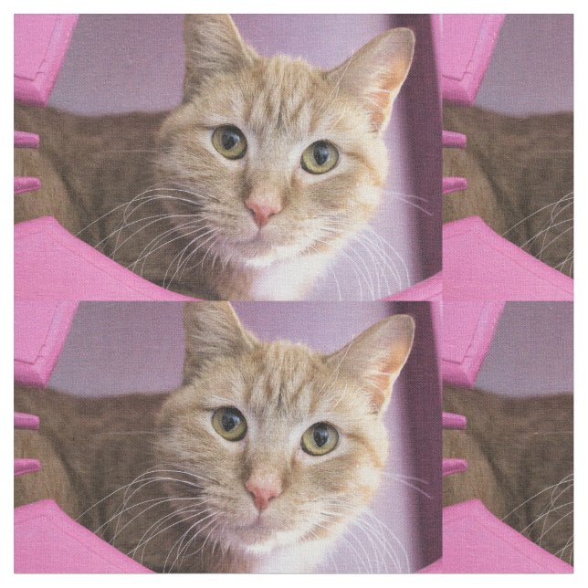 Katt Tyg (Närbild)