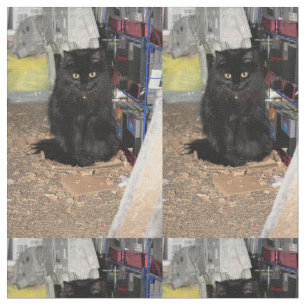 Katt Tyg