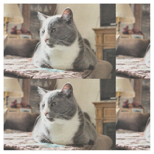 Katt Tyg (Närbild)
