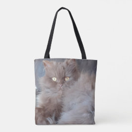Katt Tygkasse