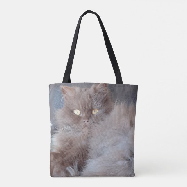 Katt Tygkasse (Baksida)