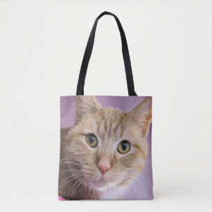 Katt Tygkasse