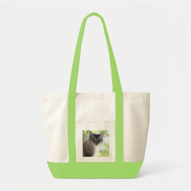 Katt Tygkasse (Framsidan)