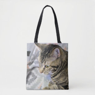 Katt Tygkasse