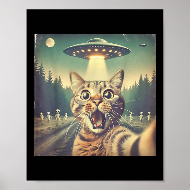Katt Ufo Selfie Konst Rolig Katt Utomjording  Poster (Framsidan)