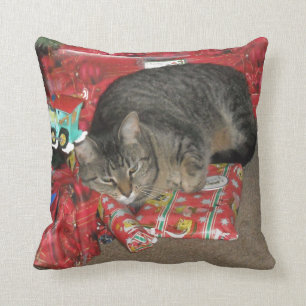 Katt under julgranen kudde