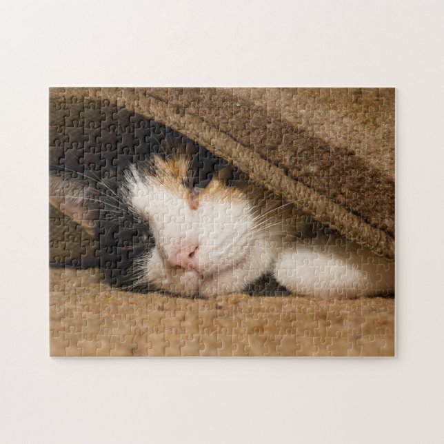 Katt under mattan pussel (Horisontell)
