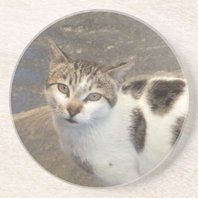 Katt underlägg (Framsidan)