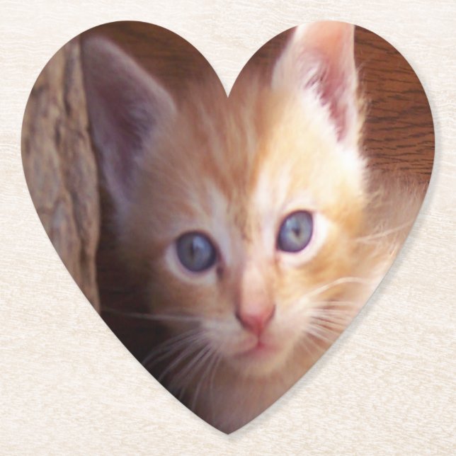 Katt Underlägg Papper (Framsida)