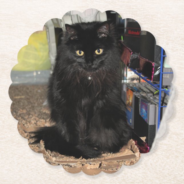 Katt Underlägg Papper (Framsida)