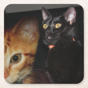 Katt Underlägg Papper Kvadrat