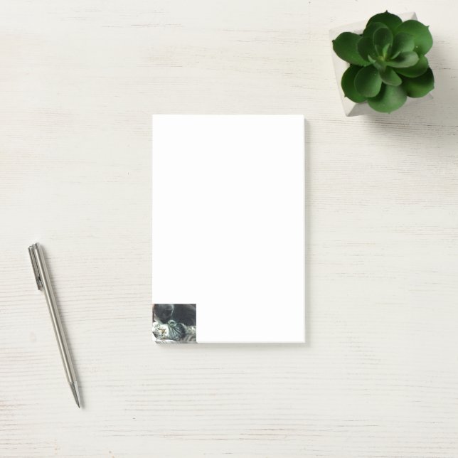 Katt Unge Katt Noteringar  Post-it Block (Kontor)