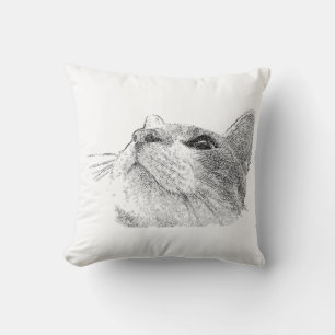 Katt upp kudde