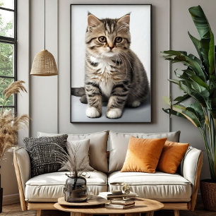 Katt Uppgår i Tiden Poster