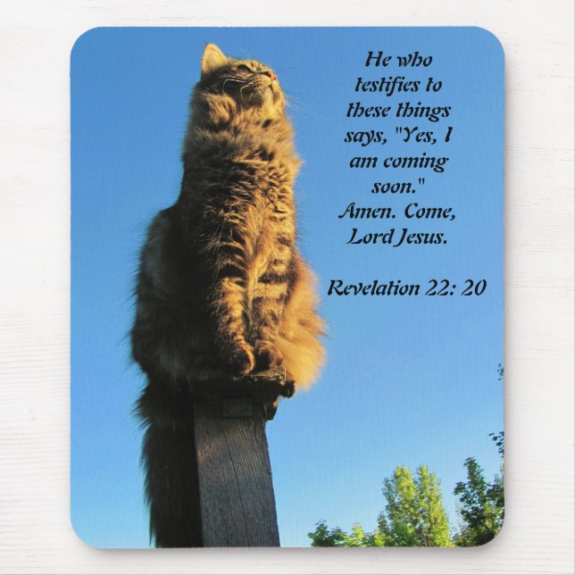 Katt, väntar på Jesus Musmatta (Framsidan)