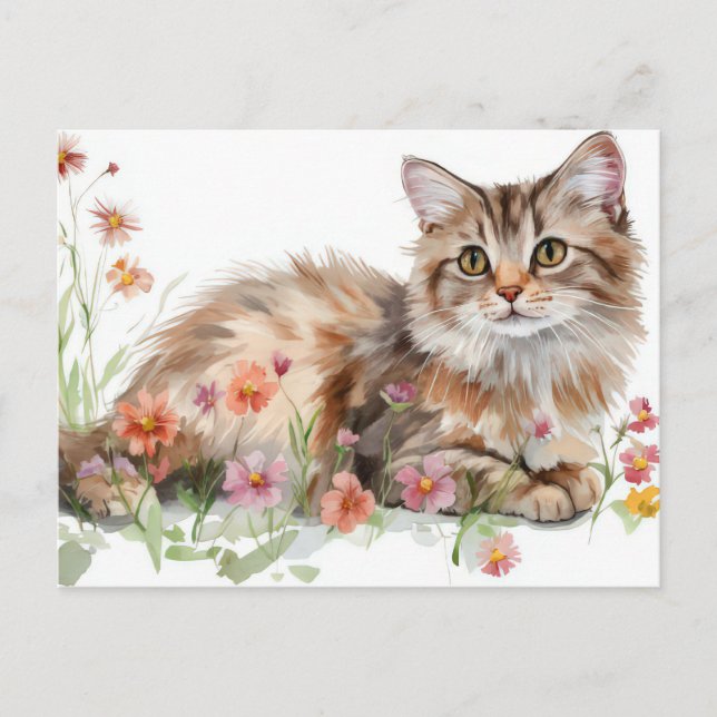 Katt Vattenfärg Postkort  Vykort (Framsida)