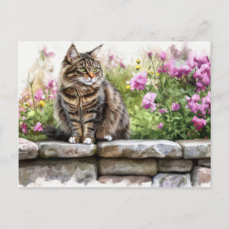 Katt Vattenfärg Postkort Vykort