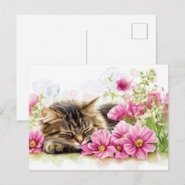 Katt Vattenfärg Postkort Vykort