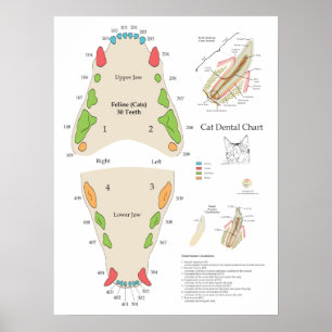Katt Veterinär Tandläkartidning Poster