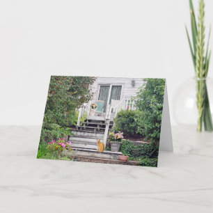 katt vid fotsteg kort