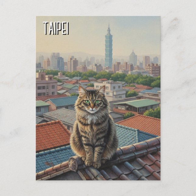 Katt vid Taipei 101 Taiwan Vykort (Framsida)