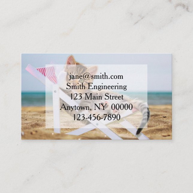 Katt vilande på en sol-lounger visitkort (Framsida)