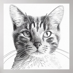 Katt Vild: Illustration av djur Art Teckning Poster