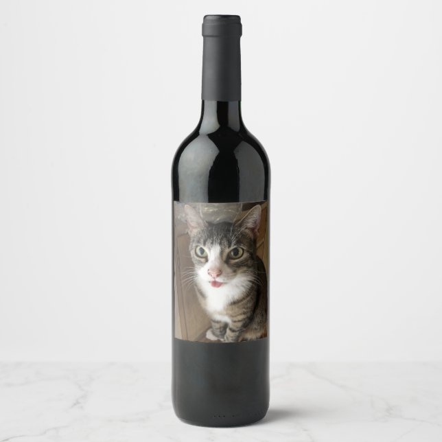 Katt Vinflaska Etikett (Framsida)
