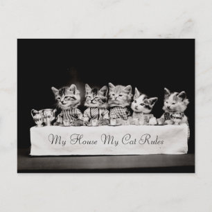 Katt - Vintage Tea Vykort