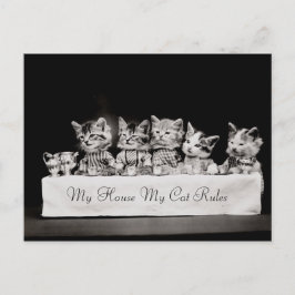 Katt - Vintage Tea Vykort