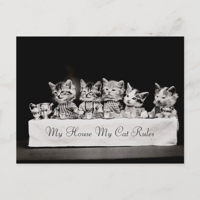 Katt - Vintage Tea Vykort (Framsida)