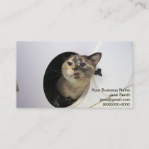 Katt