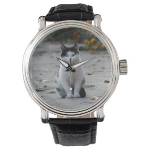 Katt, vitt, Pet Armbandsur