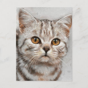 katt vykort