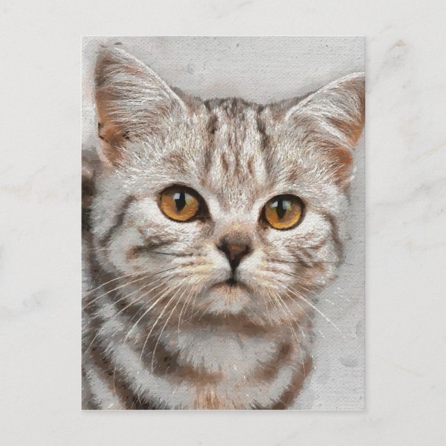 katt vykort (Framsida)