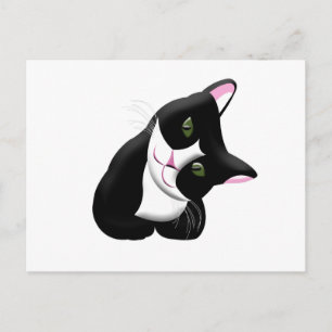 Katt Vykort