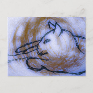 Katt Vykort