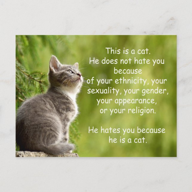 Katt Vykort (Framsida)