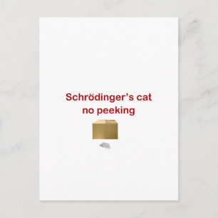 katt vykort